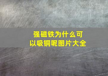 强磁铁为什么可以吸铜呢图片大全