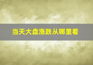 当天大盘涨跌从哪里看