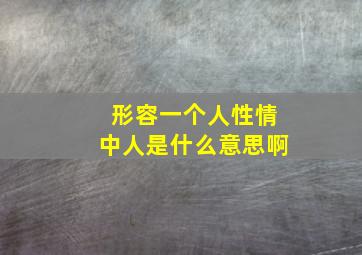 形容一个人性情中人是什么意思啊