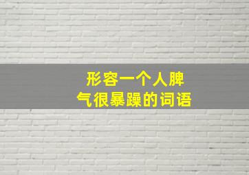 形容一个人脾气很暴躁的词语