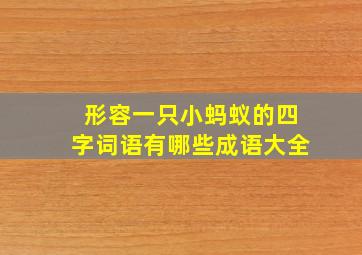 形容一只小蚂蚁的四字词语有哪些成语大全