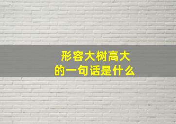 形容大树高大的一句话是什么