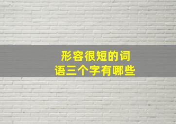 形容很短的词语三个字有哪些