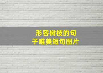 形容树枝的句子唯美短句图片