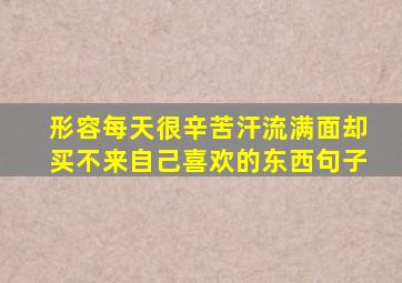 形容每天很辛苦汗流满面却买不来自己喜欢的东西句子