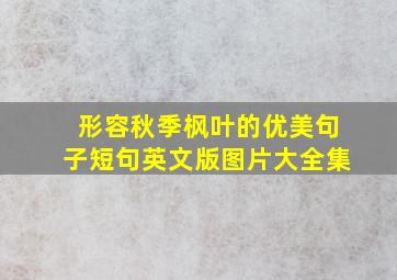 形容秋季枫叶的优美句子短句英文版图片大全集