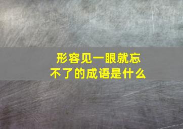 形容见一眼就忘不了的成语是什么