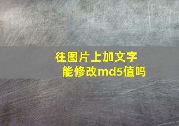 往图片上加文字能修改md5值吗