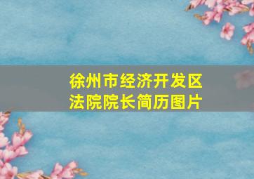 徐州市经济开发区法院院长简历图片