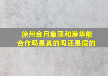 徐州金月集团和港华能合作吗是真的吗还是假的