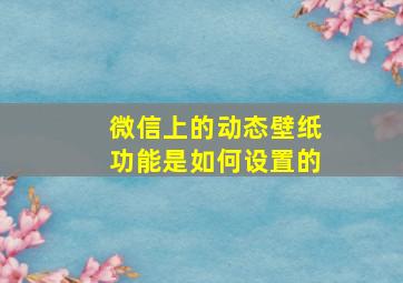 微信上的动态壁纸功能是如何设置的