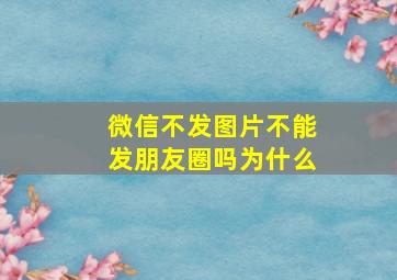 微信不发图片不能发朋友圈吗为什么