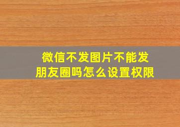 微信不发图片不能发朋友圈吗怎么设置权限