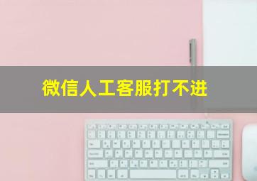 微信人工客服打不进