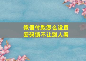 微信付款怎么设置密码锁不让别人看