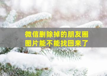 微信删除掉的朋友圈图片能不能找回来了