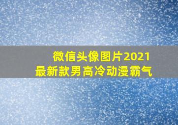 微信头像图片2021最新款男高冷动漫霸气