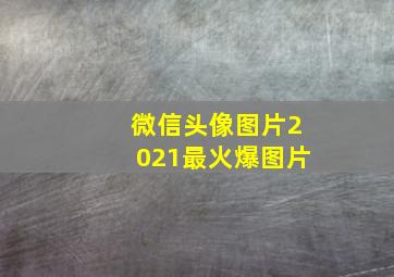 微信头像图片2021最火爆图片