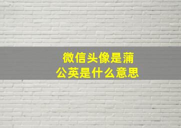 微信头像是蒲公英是什么意思