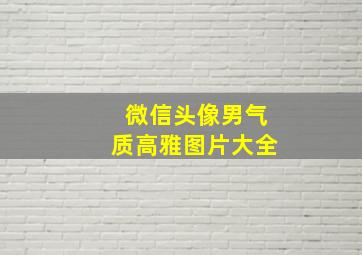 微信头像男气质高雅图片大全