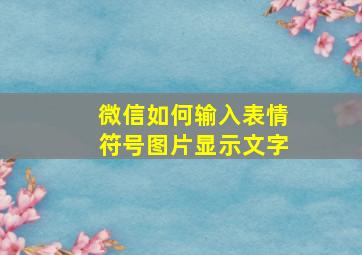 微信如何输入表情符号图片显示文字