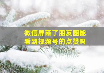 微信屏蔽了朋友圈能看到视频号的点赞吗