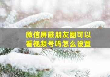 微信屏蔽朋友圈可以看视频号吗怎么设置