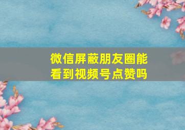 微信屏蔽朋友圈能看到视频号点赞吗