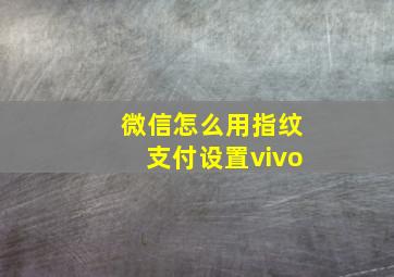 微信怎么用指纹支付设置vivo