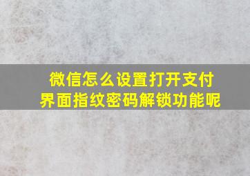 微信怎么设置打开支付界面指纹密码解锁功能呢