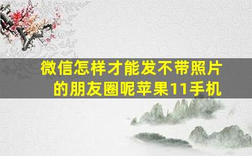 微信怎样才能发不带照片的朋友圈呢苹果11手机