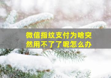 微信指纹支付为啥突然用不了了呢怎么办