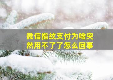 微信指纹支付为啥突然用不了了怎么回事