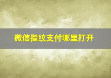 微信指纹支付哪里打开