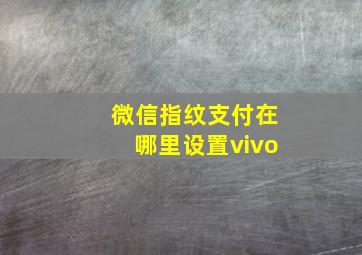 微信指纹支付在哪里设置vivo