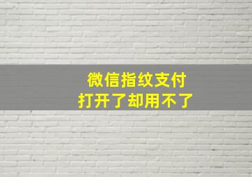 微信指纹支付打开了却用不了