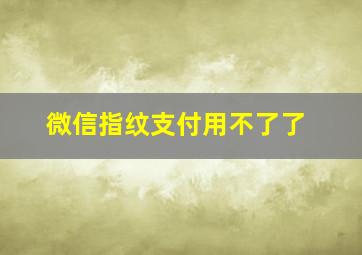 微信指纹支付用不了了