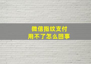 微信指纹支付用不了怎么回事