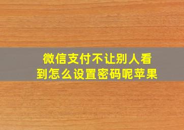 微信支付不让别人看到怎么设置密码呢苹果