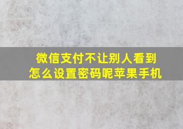 微信支付不让别人看到怎么设置密码呢苹果手机