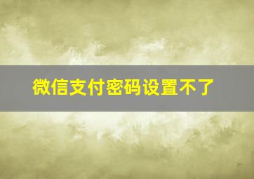 微信支付密码设置不了