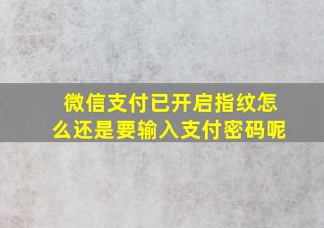 微信支付已开启指纹怎么还是要输入支付密码呢