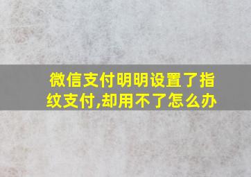 微信支付明明设置了指纹支付,却用不了怎么办