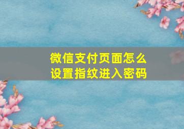 微信支付页面怎么设置指纹进入密码