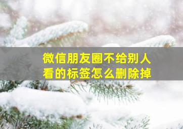 微信朋友圈不给别人看的标签怎么删除掉