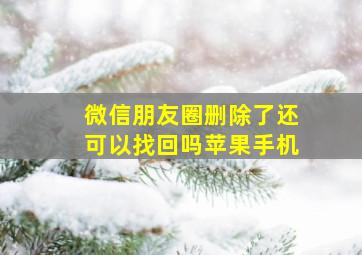 微信朋友圈删除了还可以找回吗苹果手机