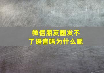 微信朋友圈发不了语音吗为什么呢