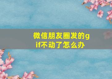 微信朋友圈发的gif不动了怎么办