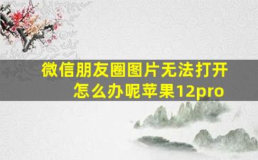 微信朋友圈图片无法打开怎么办呢苹果12pro