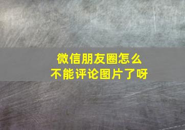 微信朋友圈怎么不能评论图片了呀